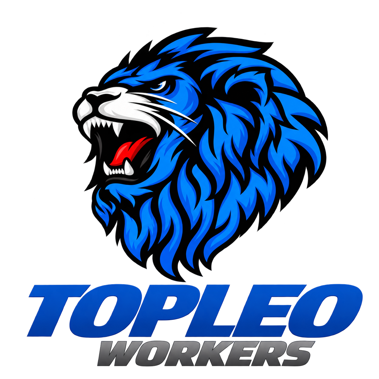 TopLeo Workers
